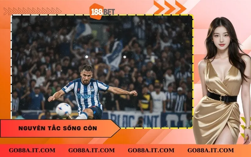 Nguyên Tắc Sống Còn