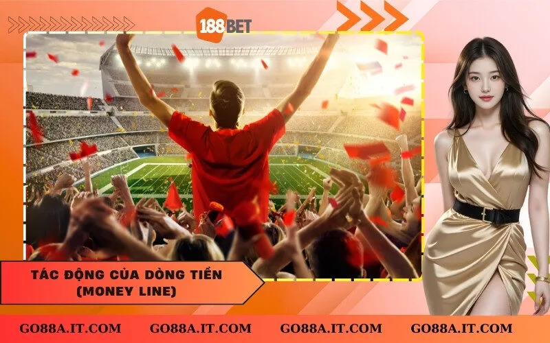 Tác động của dòng tiền (Money Line)
